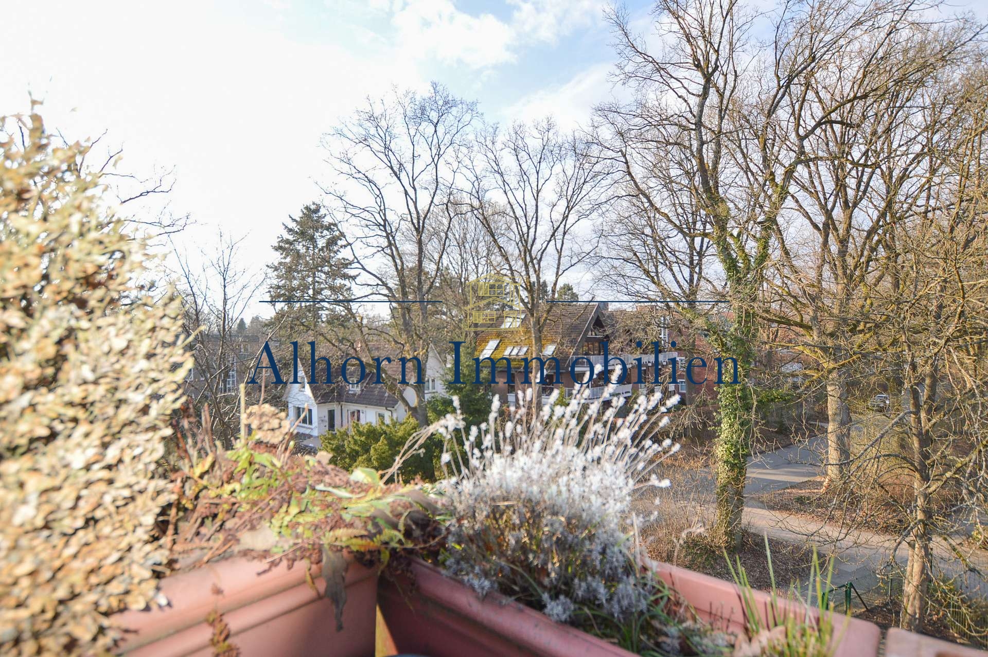 Blick von der Terrasse